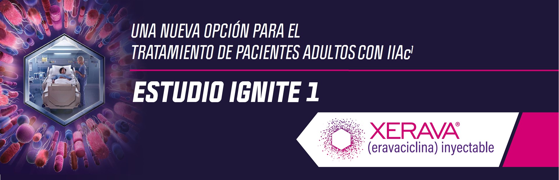 Header ignite 1