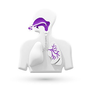 respiratorio, Alergia, dymista, rinitis alergica logo